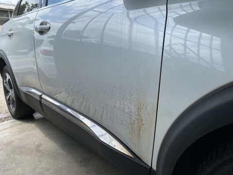 Dégoudronnage + lavage extérieur carrosserie sans eau à Bourgoin Jallieu. WASHER AUTO